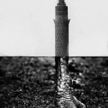 THE TOWER, 2025