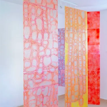 FURTHER DESTINATION,2025