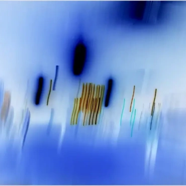 DAILY IMAGES FROM CHAOTIC EVENTS 2, 2025